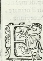 An illustration from Dell'elixir vitæ (1624)