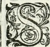 An illustration from Dell'elixir vitæ (1624)
