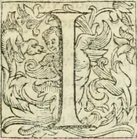 An illustration from Dell'elixir vitæ (1624)