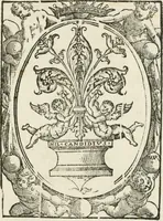 An illustration from Delle lodi di don Francesco Medici de' principi di Toscana : orazione (1614)