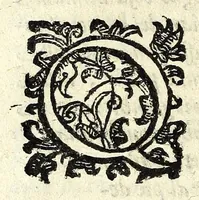 An illustration from Delle machine, ordinanze, et qvartieri antichi, et moderni : come quelli da questi possino essere imitati senza punto alterate la soldatesca dei nostri tempi : discorsi (1601)