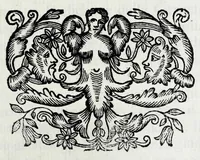 An illustration from Delle poesie dramatiche di Giovann' Andrea Moniglia, accademico della Crusca, parte prima[-terza] (1689)