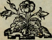 An illustration from Delle rime del S. Filippo Binaschi. Parte prima, et seconda. Novamente stampate (1588)