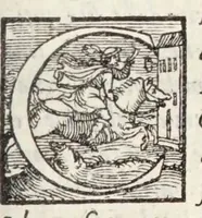 An illustration from Delle rime di M. Pietro Bembo : tratta dall'essemplare corretto di sua mano : tra lequali ce ne sono molte non piu stampate (1558)