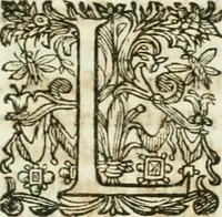 An illustration from Delle statue (1661)