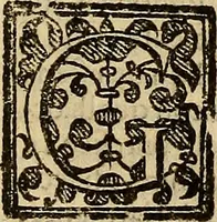 Picture 112 of 180 from Delle vite de' più eccellenti pittori, scultori, et architetti (1648), leaf 368