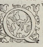 An illustration from Dell' historia de i semplici aromati, et altre cose; che vengono portate dall' Indie Orientali pertinenti all' vso della medicina. : Parte prima. Diuisa in libri IIII. (1589)