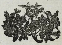 Picture 14 of 17 from Dell' historia di Perugia, di Pompeo Pellini : parte prima[-seconda], nella quale si contengono oltre l'origine e fatii [i.e. fatti] della città, li principali successi d'Italia per il corso d'anni 3525 (1664), leaf 448