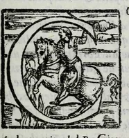 Picture 15 of 17 from Dell' historia di Perugia, di Pompeo Pellini : parte prima[-seconda], nella quale si contengono oltre l'origine e fatii [i.e. fatti] della città, li principali successi d'Italia per il corso d'anni 3525 (1664), leaf 557