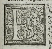 Picture 16 of 17 from Dell' historia di Perugia, di Pompeo Pellini : parte prima[-seconda], nella quale si contengono oltre l'origine e fatii [i.e. fatti] della città, li principali successi d'Italia per il corso d'anni 3525 (1664), leaf 705