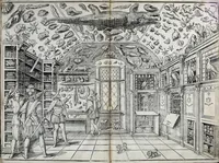 Picture 2 of 60 from Dell'historia natvrale di Ferrante Imperato napolitano libri XXVIII : nella qvale ordinatamente si tratta della diuersa condition di miniere e pietre : con alcune historie di piante & animali, sin'hora non date in luce (1599), leaf 13
