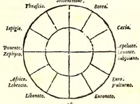 An illustration from Dell'historia natvrale di Ferrante Imperato napolitano libri XXVIII : nella qvale ordinatamente si tratta della diuersa condition di miniere e pietre : con alcune historie di piante & animali, sin'hora non date in luce (1599)