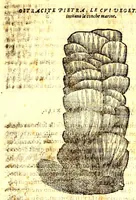 Picture 17 of 60 from Dell'historia natvrale di Ferrante Imperato napolitano libri XXVIII : nella qvale ordinatamente si tratta della diuersa condition di miniere e pietre : con alcune historie di piante & animali, sin'hora non date in luce (1599), leaf 685