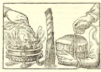 Picture 26 of 60 from Dell'historia natvrale di Ferrante Imperato napolitano libri XXVIII : nella qvale ordinatamente si tratta della diuersa condition di miniere e pietre : con alcune historie di piante & animali, sin'hora non date in luce (1599), leaf 712