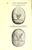 Picture 54 of 60 from Dell'historia natvrale di Ferrante Imperato napolitano libri XXVIII : nella qvale ordinatamente si tratta della diuersa condition di miniere e pietre : con alcune historie di piante & animali, sin'hora non date in luce (1599), leaf 814