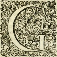 An illustration from Dell'idea della architettura universale (1714)