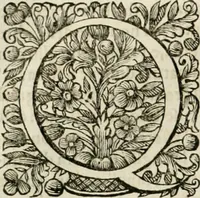 An illustration from Dell'idea della architettura universale (1714)
