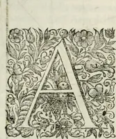 An illustration from Dell'idea della architettura universale (1714)