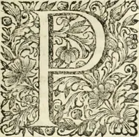 An illustration from Dell'idea della architettura universale (1714)