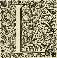 An illustration from Dell'idea della architettura universale (1714)