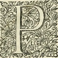 An illustration from Dell'idea della architettura universale (1714)