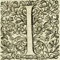 An illustration from Dell'idea della architettura universale (1714)