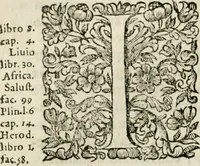 An illustration from Dell'idea della architettura universale (1714)