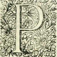 An illustration from Dell'idea della architettura universale (1714)