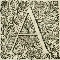 An illustration from Dell'idea della architettura universale (1714)