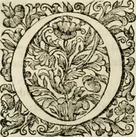 An illustration from Dell'idea della architettura universale (1714)