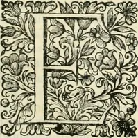 An illustration from Dell'idea della architettura universale (1714)