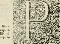 An illustration from Dell'idea della architettura universale (1714)