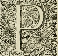An illustration from Dell'idea della architettura universale (1714)