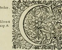 An illustration from Dell'idea della architettura universale (1714)