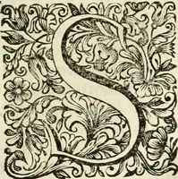 An illustration from Dell'idea della architettura universale (1714)