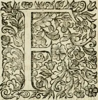 An illustration from Dell'idea della architettura universale (1714)