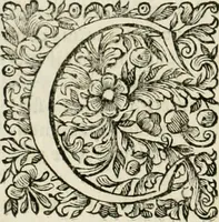 An illustration from Dell'idea della architettura universale (1714)