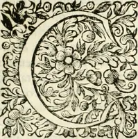 An illustration from Dell'idea della architettura universale (1714)