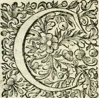 An illustration from Dell'idea della architettura universale (1714)