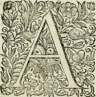 An illustration from Dell'idea della architettura universale (1714)