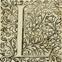An illustration from Dell'idea della architettura universale (1714)