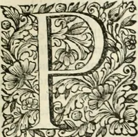 An illustration from Dell'idea della architettura universale (1714)