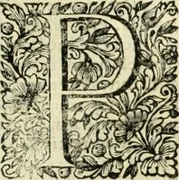 An illustration from Dell'idea della architettura universale (1714)