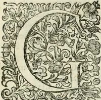An illustration from Dell'idea della architettura universale (1714)