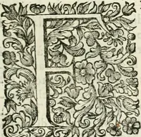 An illustration from Dell'idea della architettura universale (1714)