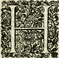 An illustration from Dell'idea della architettura universale (1714)
