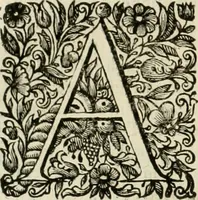 An illustration from Dell'idea della architettura universale (1714)