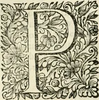 An illustration from Dell'idea della architettura universale (1714)