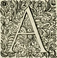 An illustration from Dell'idea della architettura universale (1714)