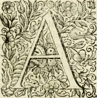 An illustration from Dell'idea della architettura universale (1714)